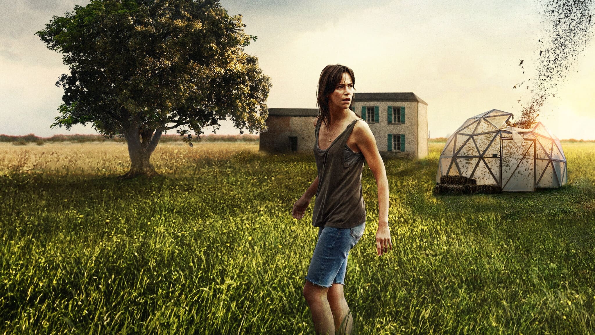 دانلود فیلم The Swarm 2020 دانلود فیلم The Swarm 2020