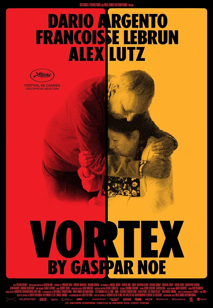 دانلود فیلم Vortex 2021 دانلود فیلم Vortex 2021