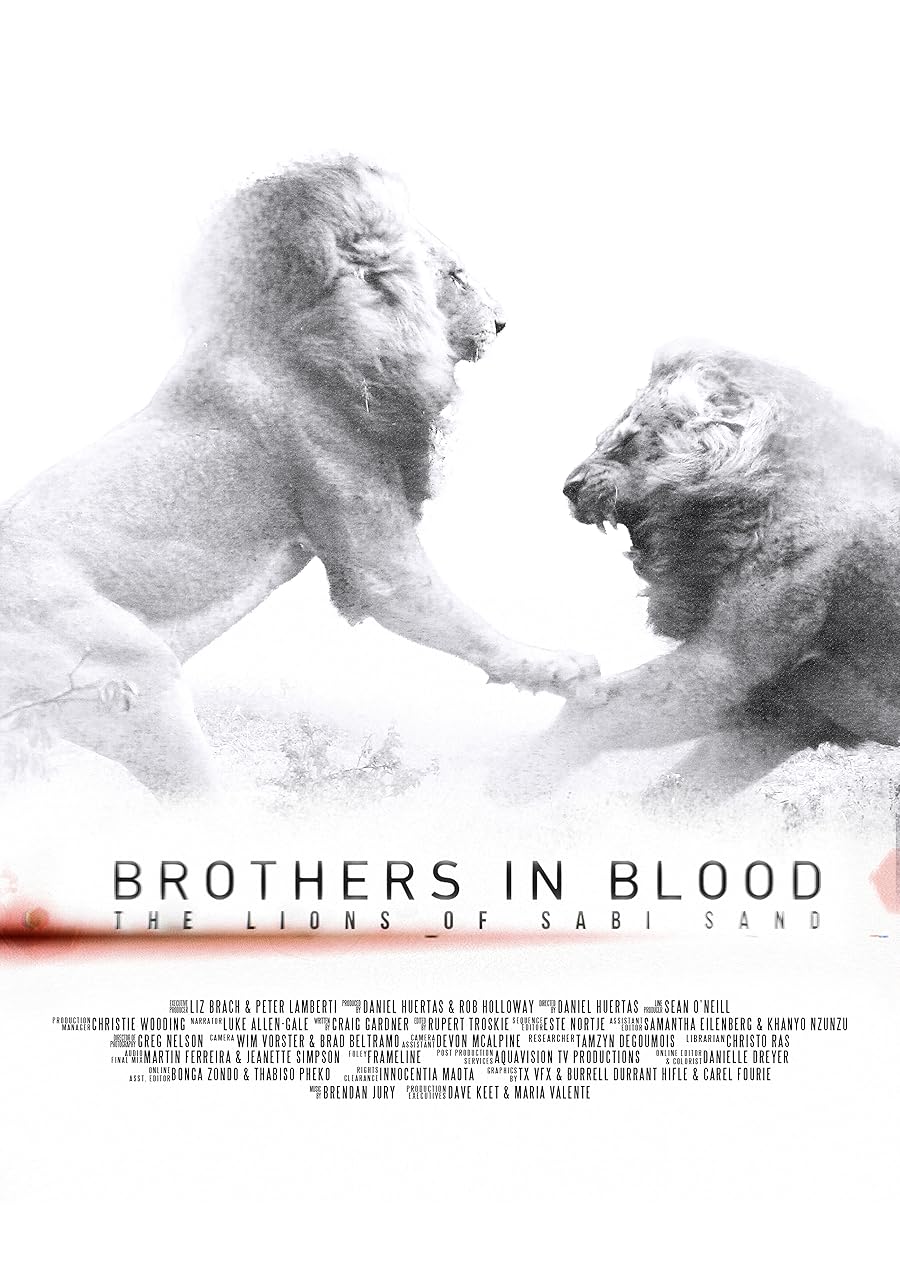 دانلود فیلم Brothers in Blood: The Lions of Sabi Sand 2015