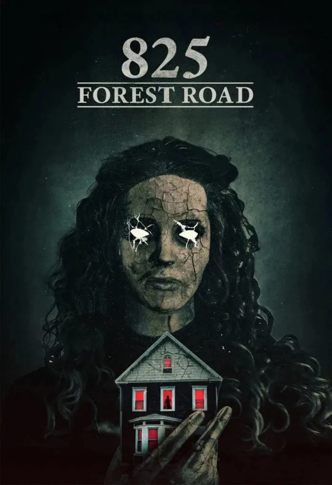 دانلود فیلم 825 Forest Road 2025
